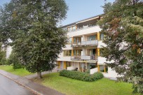 F&ouml;reningens egen startbild